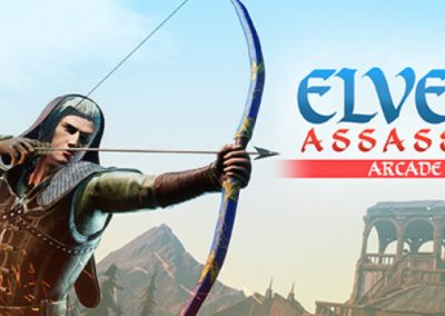 Elven Assassin