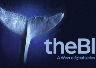 The Blu VR